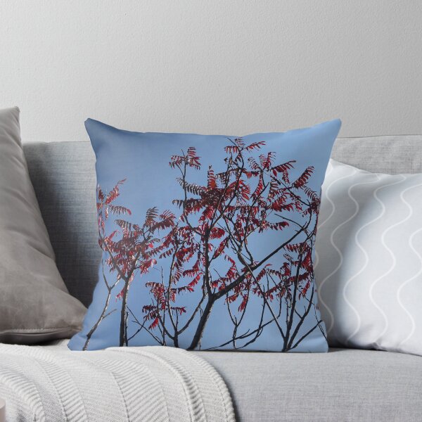 Item preview, Beautiful Trees Photo designed and sold by sabinako.