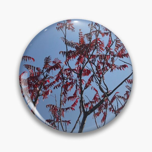 Item preview, Beautiful Trees Photo designed and sold by sabinako.