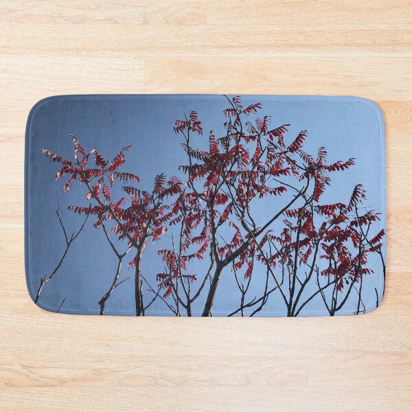 Item preview, Beautiful Trees Photo designed and sold by sabinako.