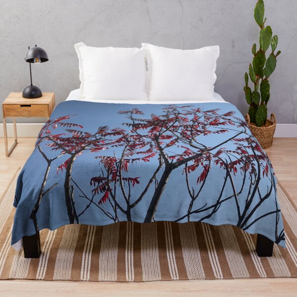 Item preview, Beautiful Trees Photo designed and sold by sabinako.