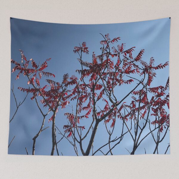 Item preview, Beautiful Trees Photo designed and sold by sabinako.