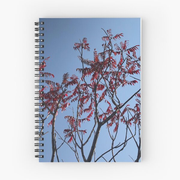 Item preview, Beautiful Trees Photo designed and sold by sabinako.