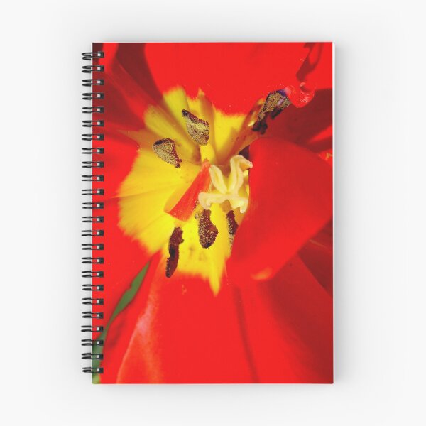 Item preview, red tulip designed and sold by studenna.