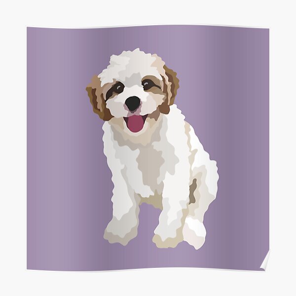 "Cavapoo Dog Portrait Digital Illustration" Poster for Sale by ...