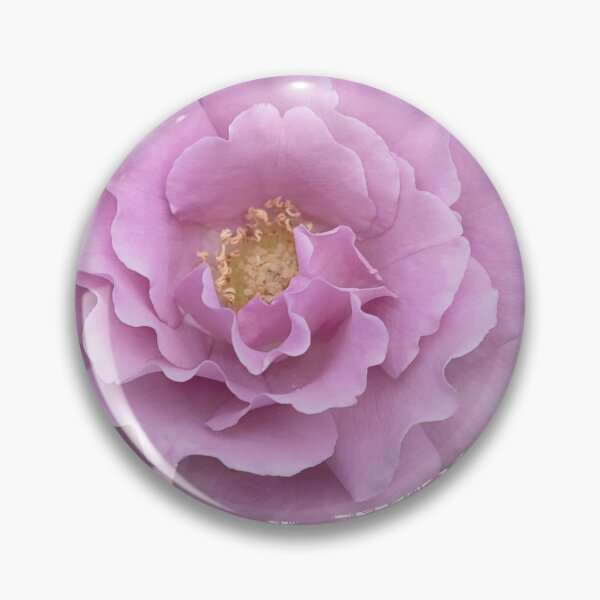 Item preview, Dreamy Pink Rose designed and sold by Elisabeth Lucas.