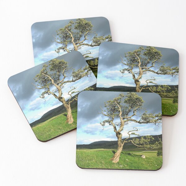 Item preview, Single tree in a landscape designed and sold by leephotoofyork.