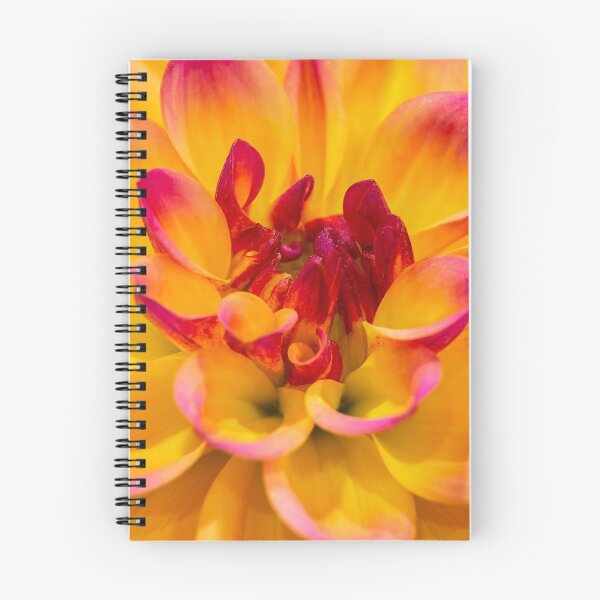 Item preview, Dahlia designed and sold by John Velocci.
