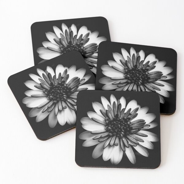 Item preview, Black and white flower, art photography designed and sold by SandraC-Duarte.