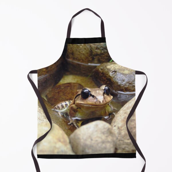 Item preview, Australian Native frog designed and sold by Rubywoodwytch.