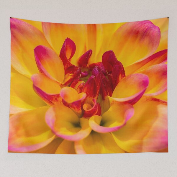 Item preview, Dahlia designed and sold by John Velocci.