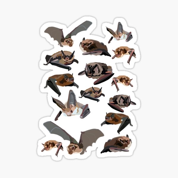 Item preview, B for British Bats  designed and sold by thezoogirl.
