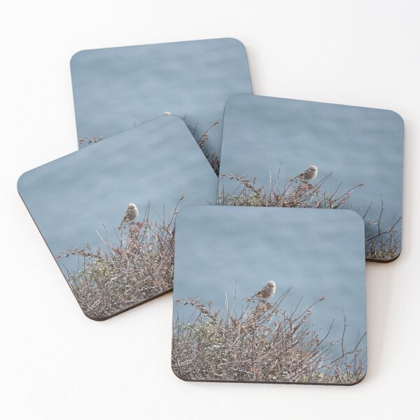 Item preview, Juvenile stonechat designed and sold by frogs123.