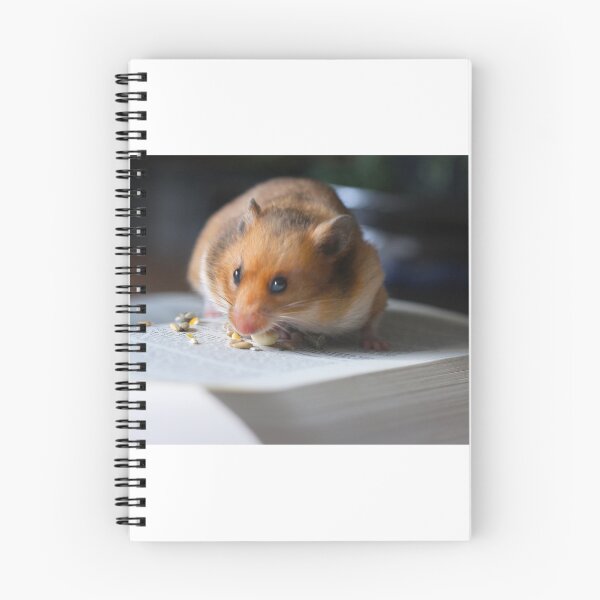 Item preview, Hungry For Knowledge designed and sold by SmoothBreeze7 | Liz Collet Photography.