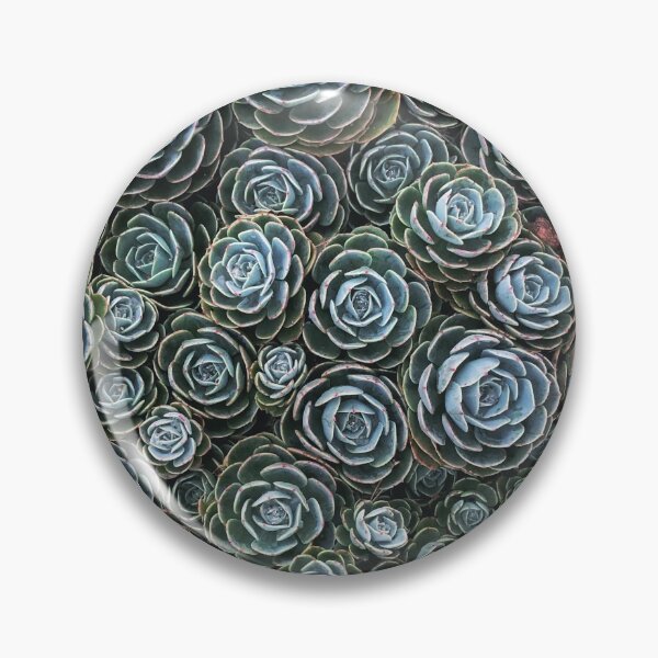 Item preview, Succulent Society    designed and sold by LisaDCreates.