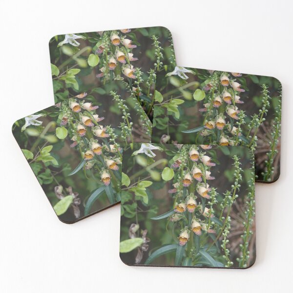 Item preview, Floxgloves and flowers. designed and sold by frogs123.