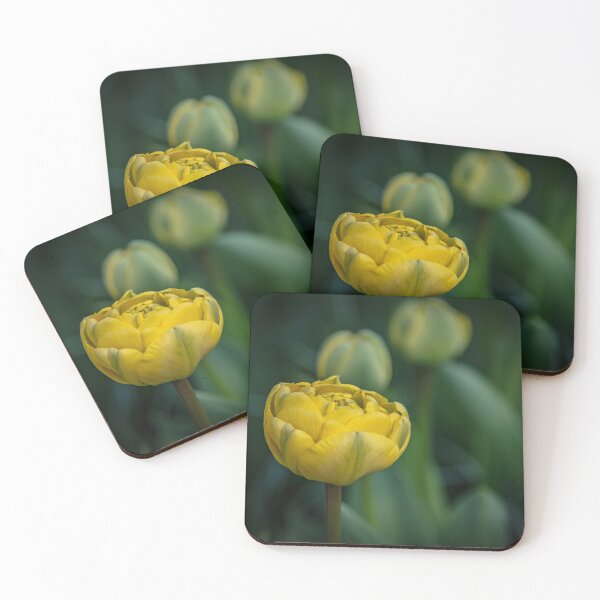 Item preview, Blooming  designed and sold by Lise Rodembusch.