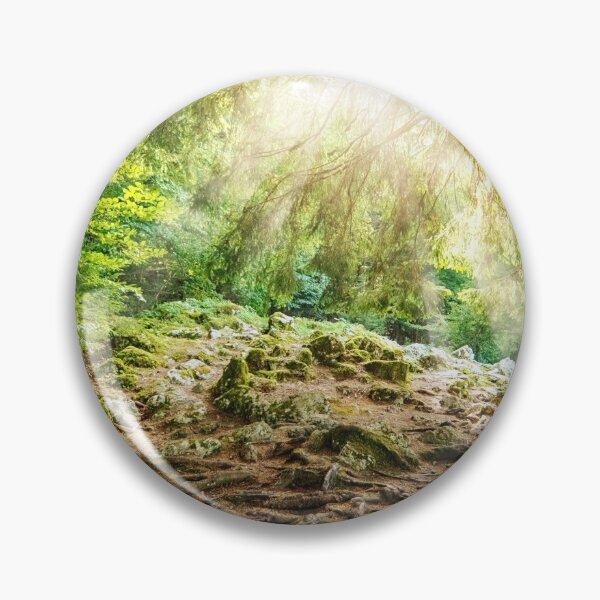 Item preview, Pine tree in sunny french forest with bright sunbeams designed and sold by Grégory DUBUS.