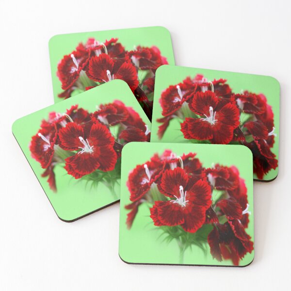 Item preview, Pretty Little Flower designed and sold by JohnDSmith.