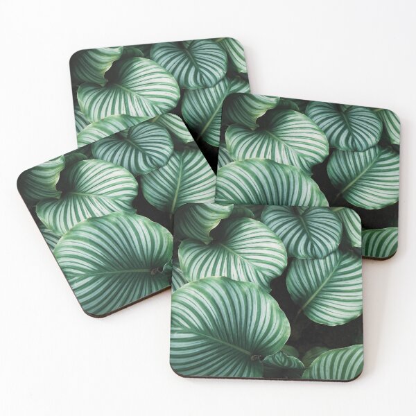 Item preview, rainforest designed and sold by Ml17rz.