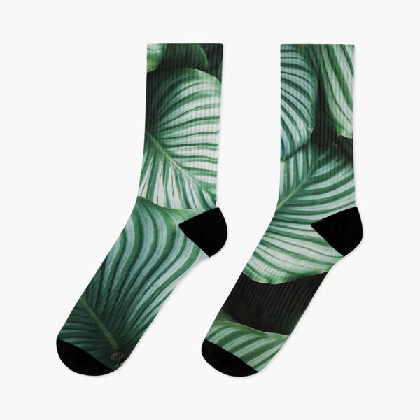 Item preview, rainforest designed and sold by Ml17rz.