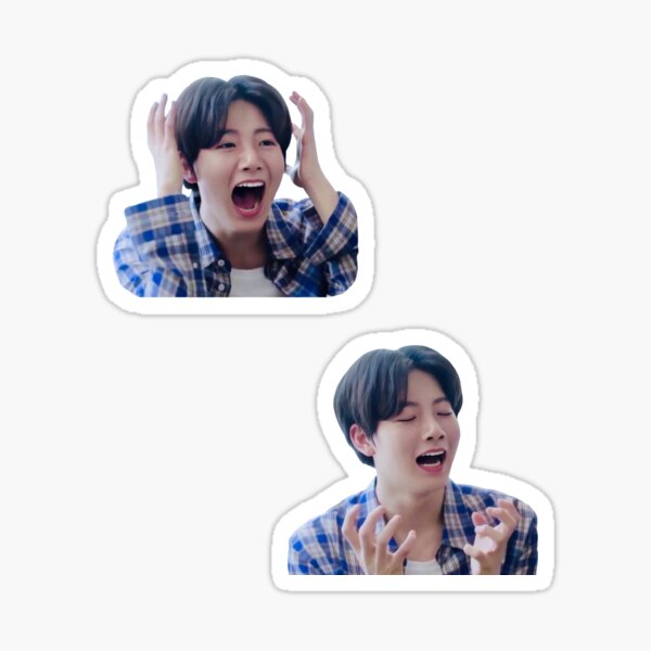 Kim Junkyu Treasure Meme Sticker