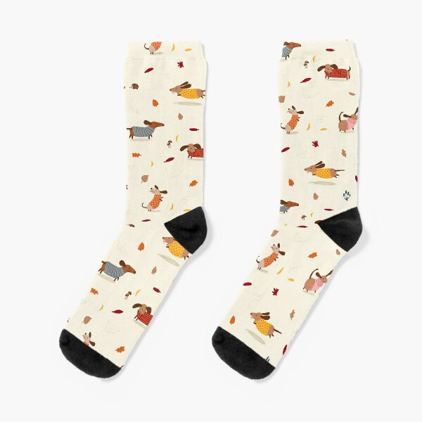 Hot Dog Weiner Dog Socks  Friday Sock Co. Mismatched Socks