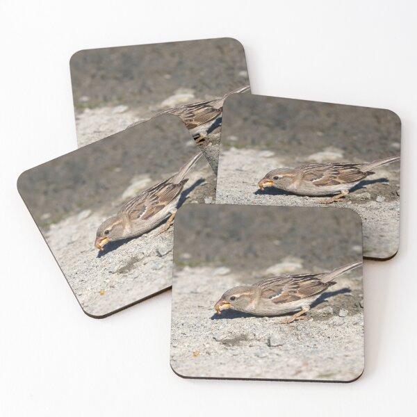 Item preview, Foraging sparrow designed and sold by GreyFeatherPhot.