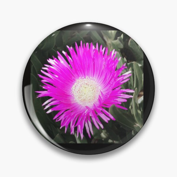 Item preview, Pink, I Love You designed and sold by ALEX PHOTO DREAMS.