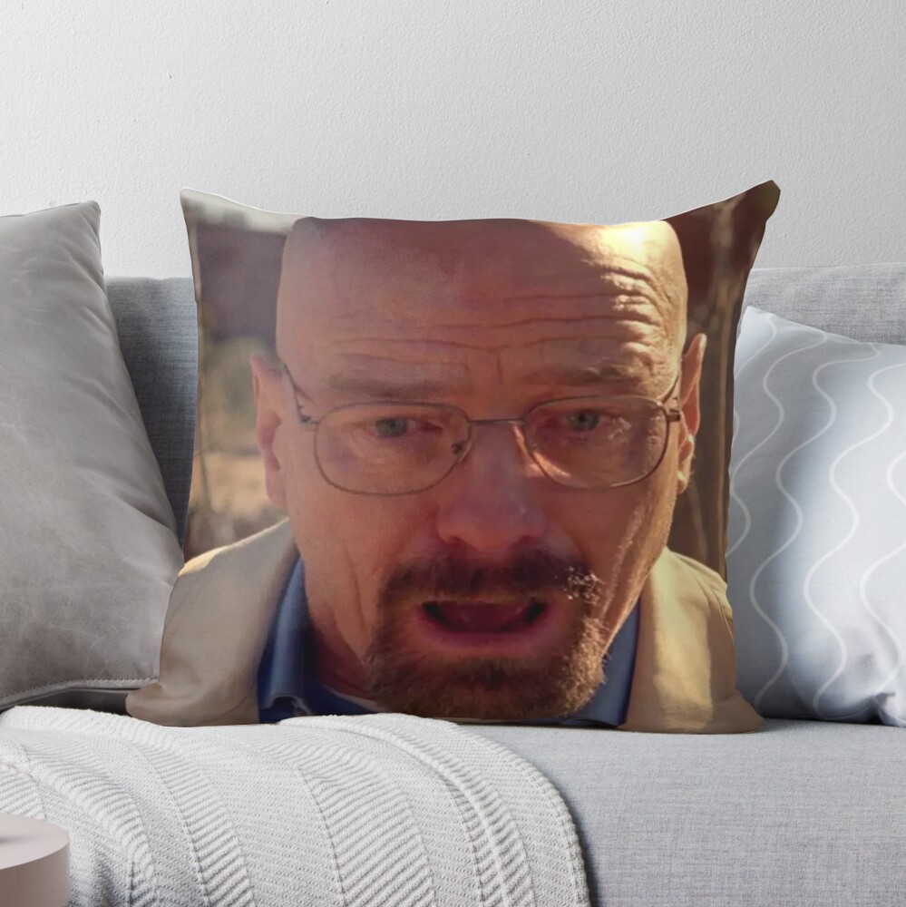 https://ih1.redbubble.net/image.1739087178.3769/throwpillow,medium,1000x-bg,f8f8f8-c,0,200,1000,1000.jpg