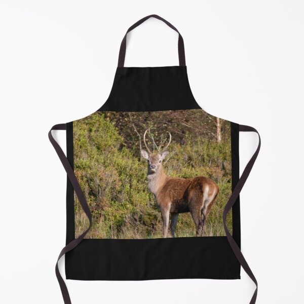 Item preview, red deer designed and sold by tammy mellor.