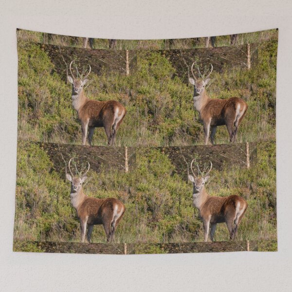 Item preview, red deer designed and sold by tammy mellor.