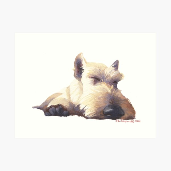 Leo Sleeps Art Print