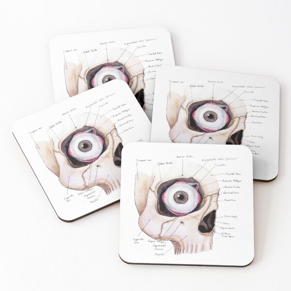 Item preview, Spooky Eye Anatomy | Labelled Human Eye and Skull designed and sold by Karli Mogen.