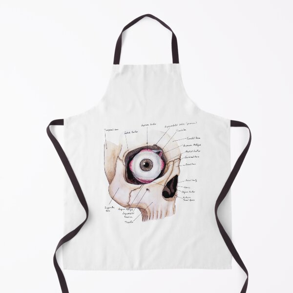 Item preview, Spooky Eye Anatomy | Labelled Human Eye and Skull designed and sold by Karli Mogen.