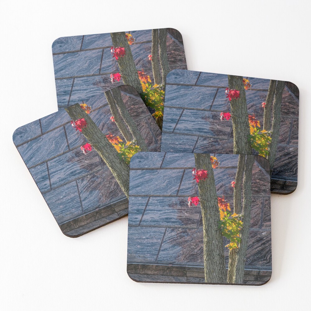 Item preview, Coasters (Set of 4) designed and sold by LisaCook1.