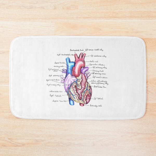 Item preview, External Heart | Anatomy Watercolor Illustration designed and sold by Karli Mogen.
