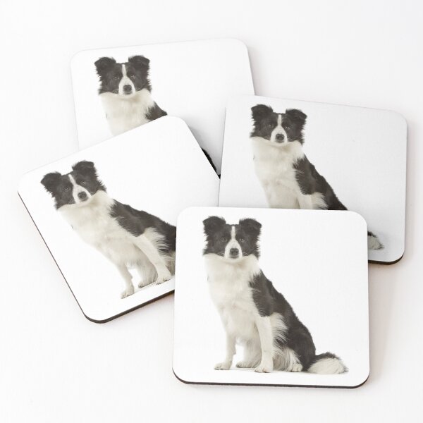 Item preview, Border Collie Sitting designed and sold by ScienceSource.