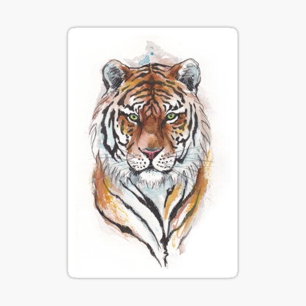 Tigre Sticker