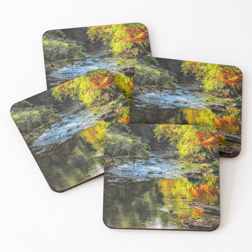 Item preview, Coasters (Set of 4) designed and sold by LisaCook1.