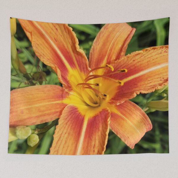 Item preview, Day Lily Close Up designed and sold by MooseDogPhotos.