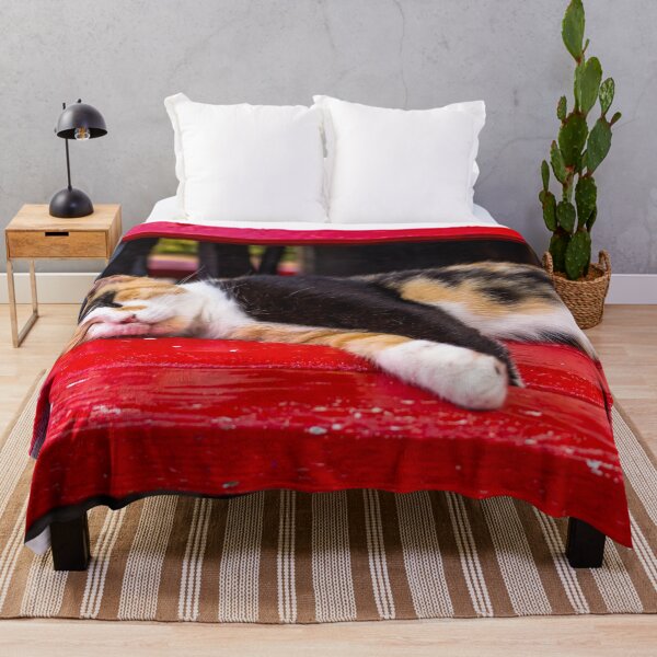 Item preview, Calico cat sleeping on the red bench designed and sold by lena-maximova.