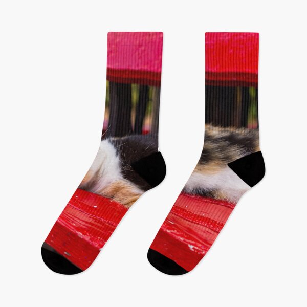Item preview, Calico cat sleeping on the red bench designed and sold by lena-maximova.
