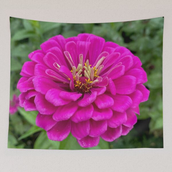 Item preview, zinnia pink flower designed and sold by collazodesigns.