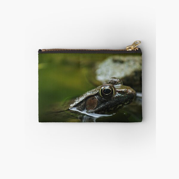 Item preview, Kiss the Frog designed and sold by c-zphotos.