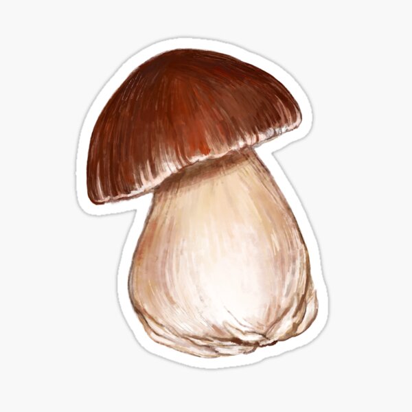 Boletus Pinophilus Sticker