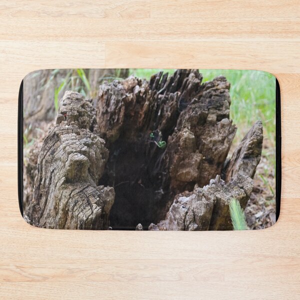 Item preview, Rotten tree snag designed and sold by Life-s-A-Hike.