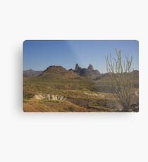 Viewpoint Metal Print