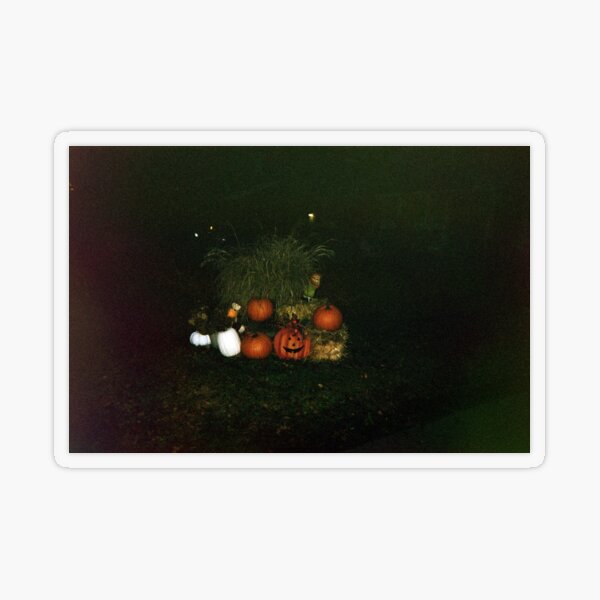 35mm Film Halloween Pumpkin Transparent Sticker