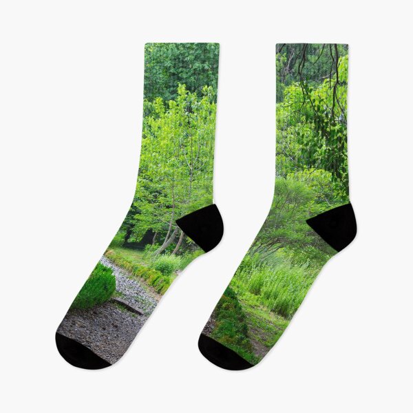 Item preview, Rocky trail in a botanical garden designed and sold by Life-s-A-Hike.