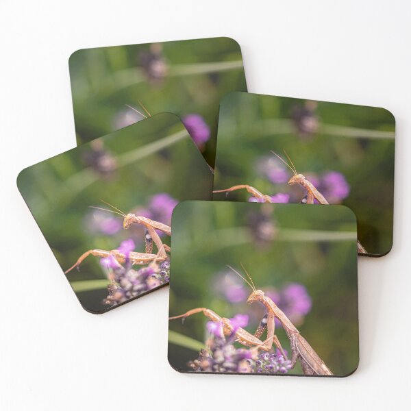 Item preview, Praying Mantis on Lavender designed and sold by jillianbutolphphoto.